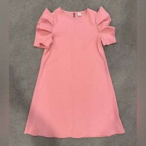 SHEIN Pink Ruffle Sleeve Kids Dress